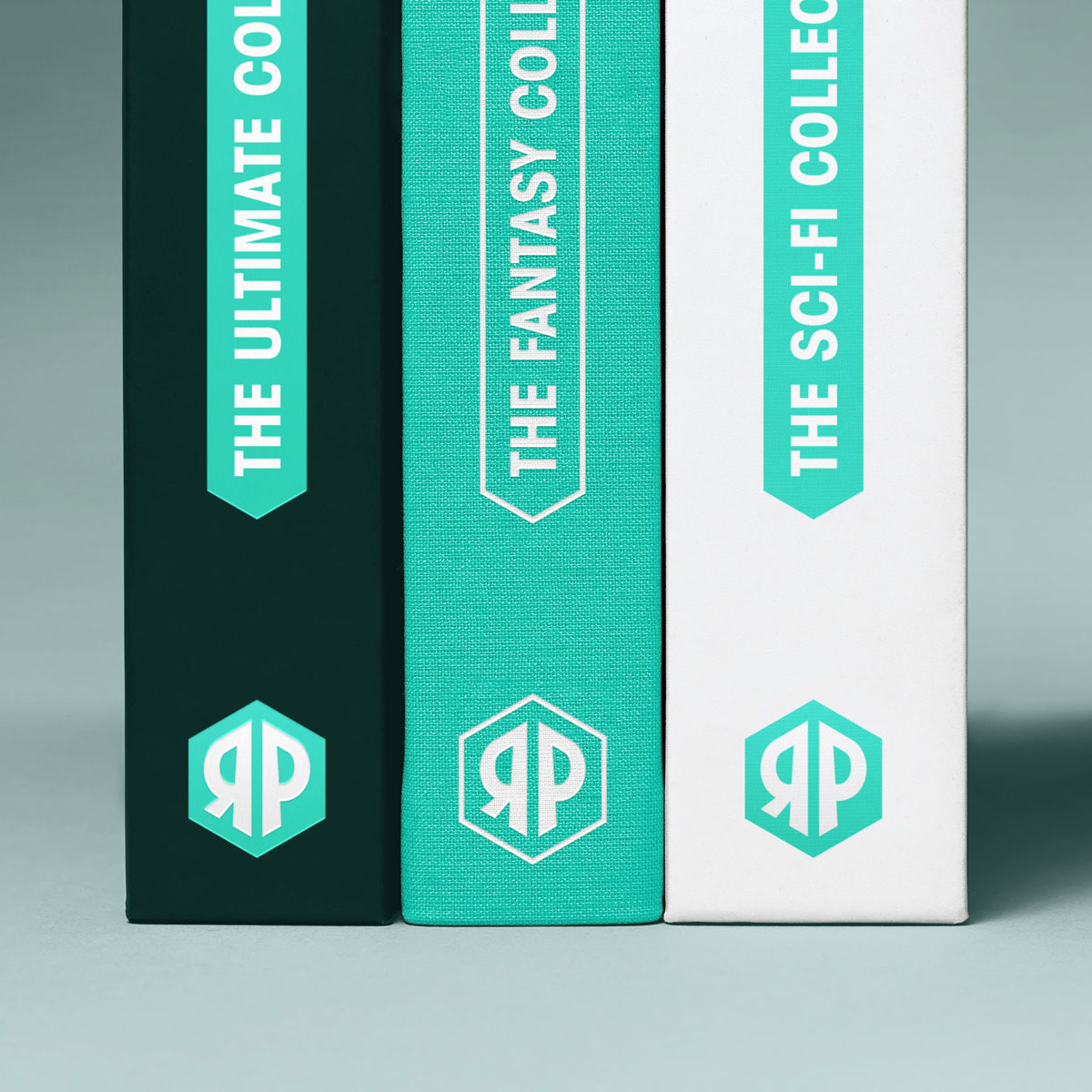 Roll and Play Press brand identity book spine design variant
